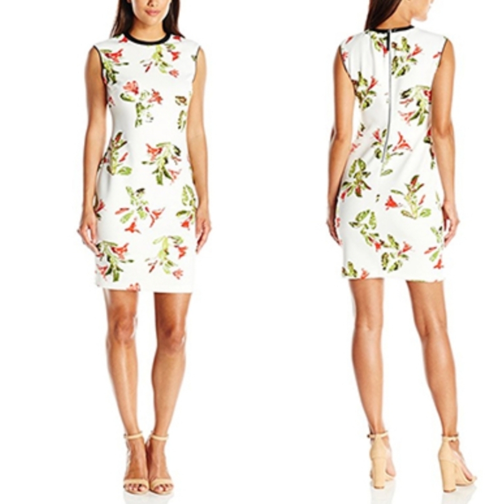 Lark & Ro Sleeveless Printed Scuba Sheath Dress